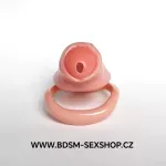 Pánský pás cudnosti Mikro penis – limitovaná edice