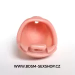 Pánský pás cudnosti Mikro penis – limitovaná edice