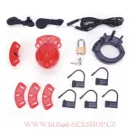 Pás cudnosti na elektrosex