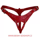 Uzamykatelný postroj vhodný pro klasické pásy cudnosti Uzamykatelný postroj vhodný pro klasické pásy cudnosti