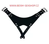 Uzamykatelný postroj vhodný pro klasické pásy cudnosti Uzamykatelný postroj vhodný pro klasické pásy cudnosti