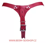 Uzamykatelný postroj vhodný pro klasické pásy cudnosti Uzamykatelný postroj vhodný pro klasické pásy cudnosti