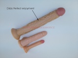 Dildo Perfect enjoyment